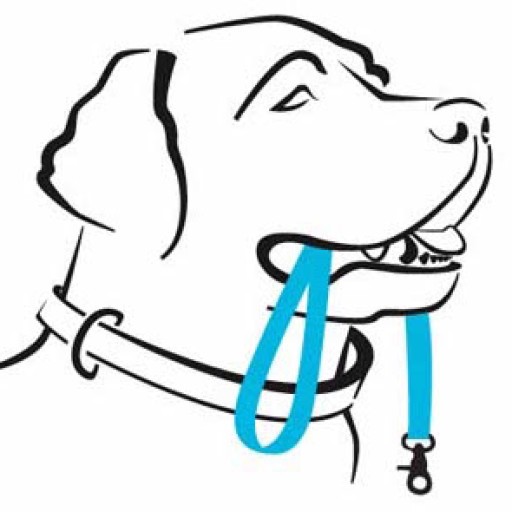 Dogs Forever of Iowa logo